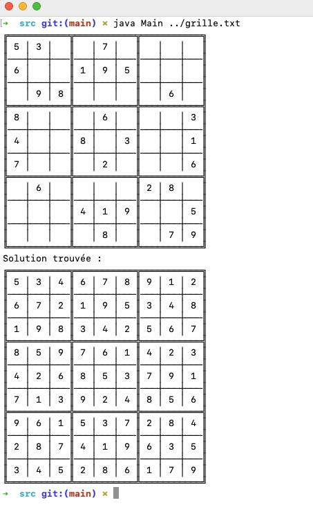 Sudoku Solver